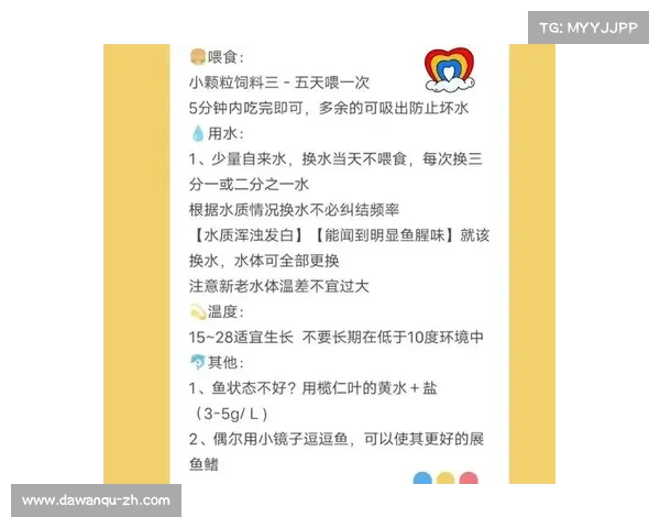 斗鱼攻略 斗鱼攻略